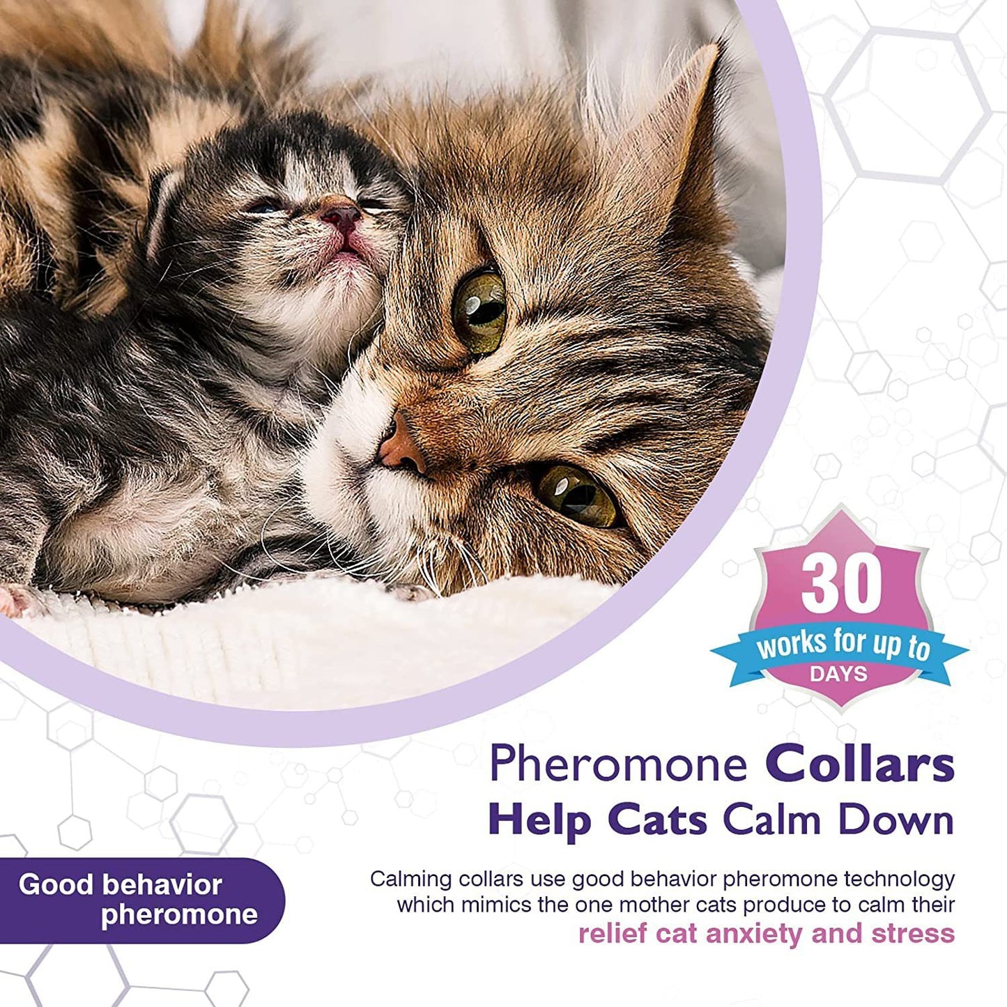 Adjustable Cat Grooming & Massage Brush
