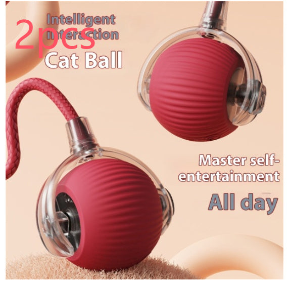 Interactive Cat Ball with Bird Sound