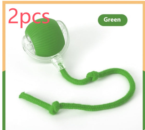 Interactive Cat Ball with Bird Sound