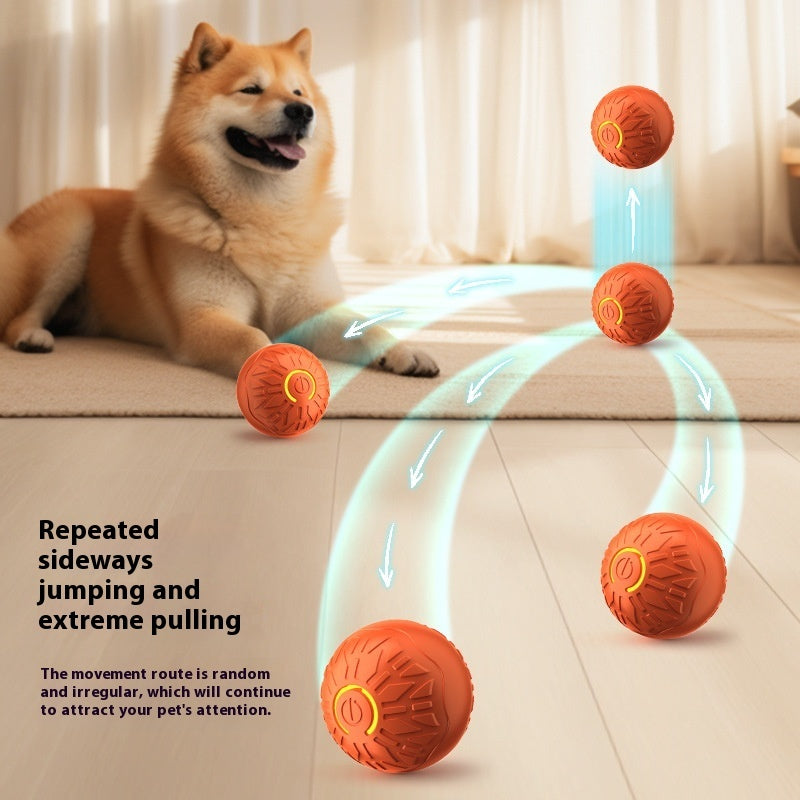 Durable Bouncing Dog Toy Ball