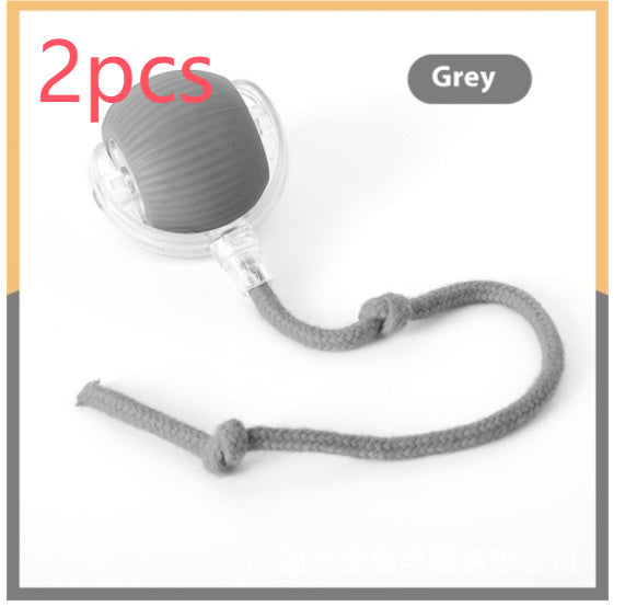 Interactive Cat Ball with Bird Sound