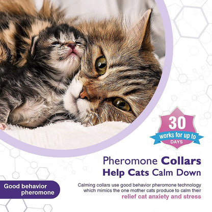 Adjustable Cat Grooming & Massage Brush
