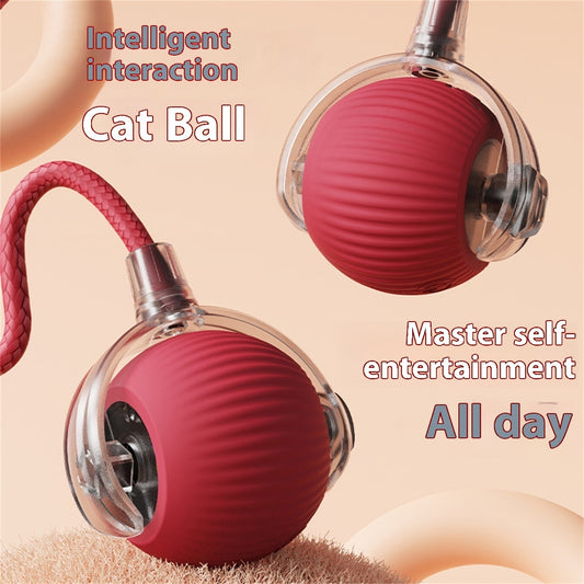 Interactive Cat Ball with Bird Sound