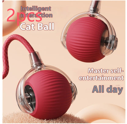 Interactive Cat Ball with Bird Sound