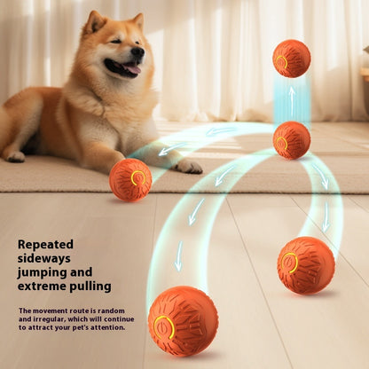 Durable Bouncing Dog Toy Ball